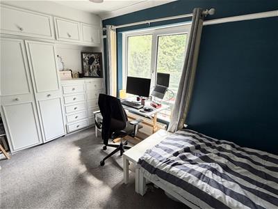 Picture 7